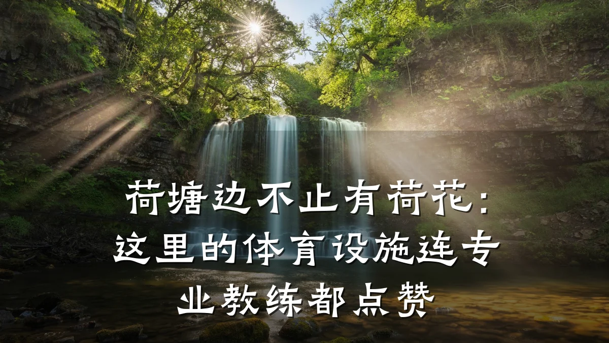 荷塘边不止有荷花:这里的体育设施连专业教练都点赞