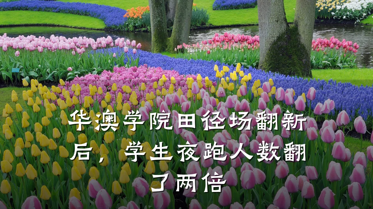 华澳学院田径场翻新后,学生夜跑人数翻了两倍