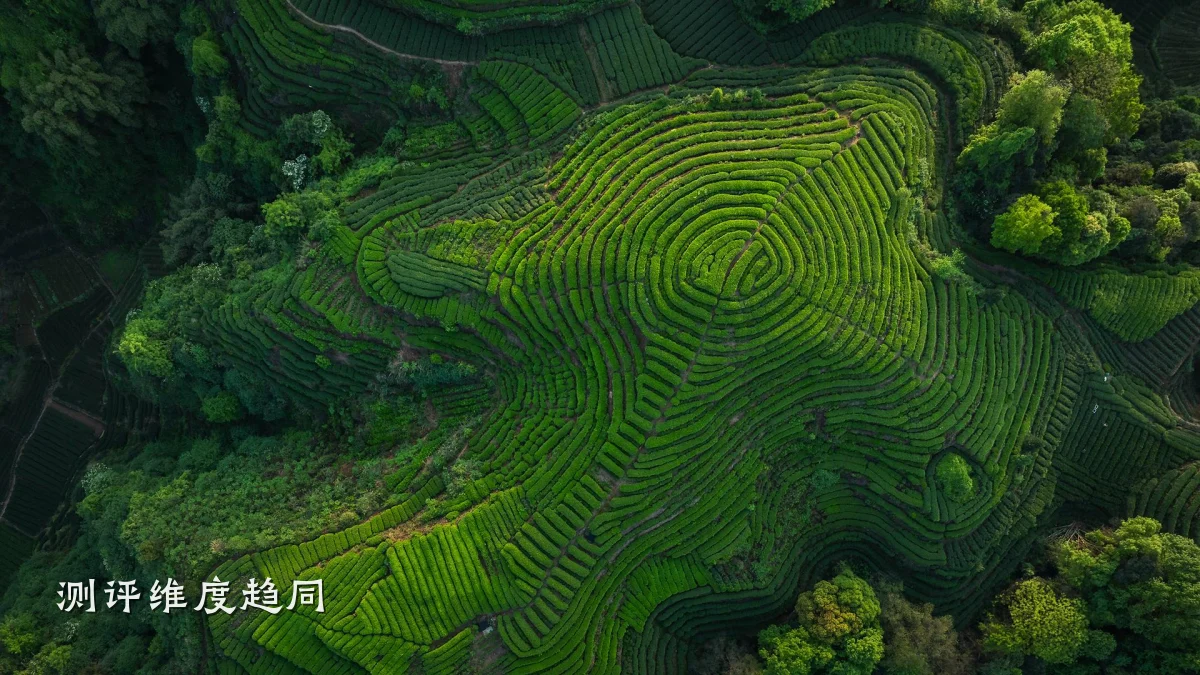 测评维度趋同