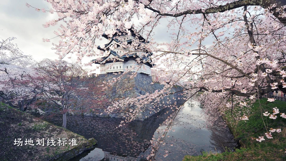 场地划线标准