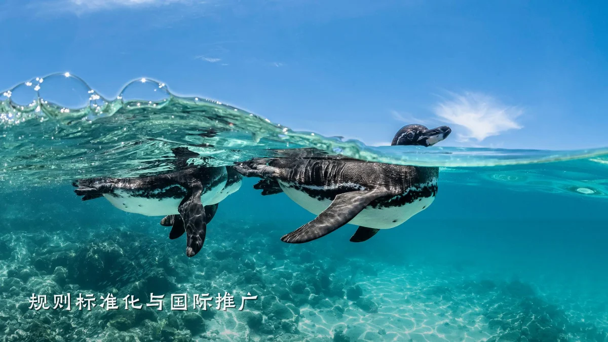 规则标准化与国际推广