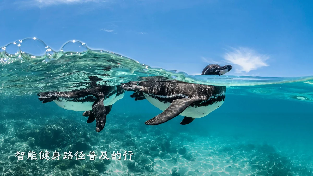 智能健身路径普及的行