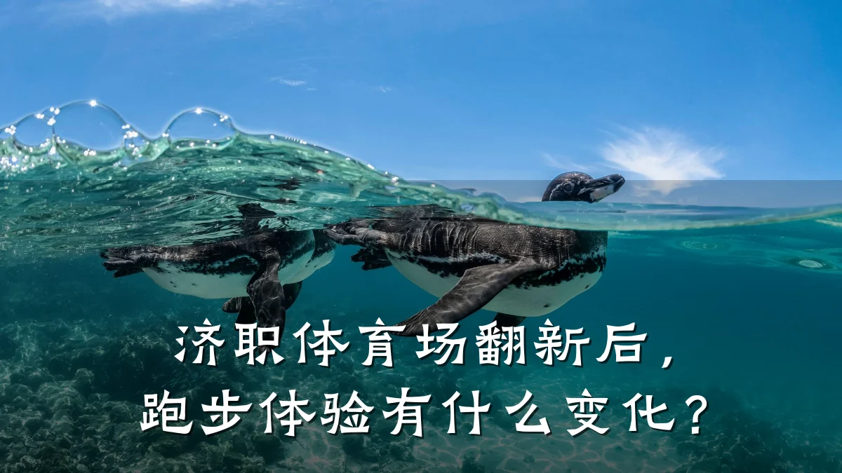 济职体育场翻新后,跑步体验有什么变化?