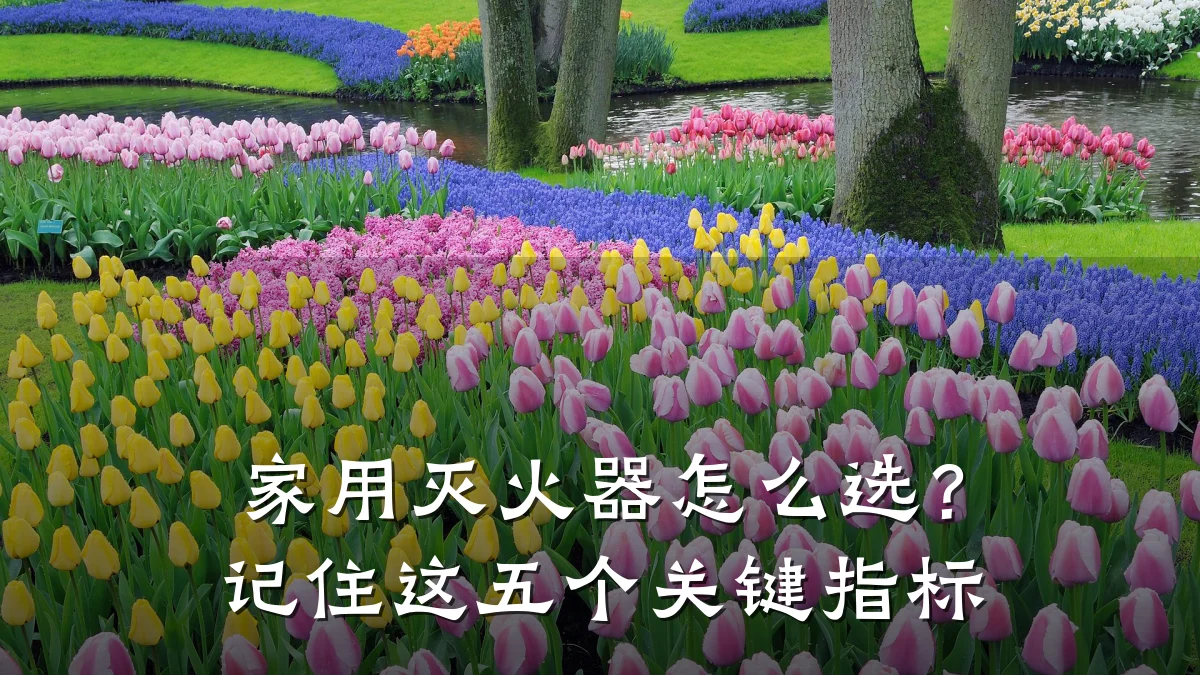 家用灭火器怎么选?记住这五个关键指标