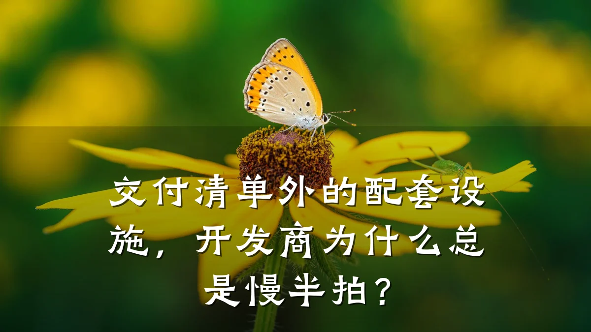 交付清单外的配套设施,开发商为什么总是慢半拍?