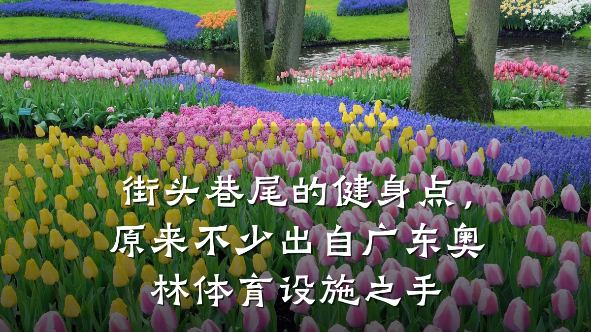 街头巷尾的健身点,原来不少出自广东奥林体育设施之手