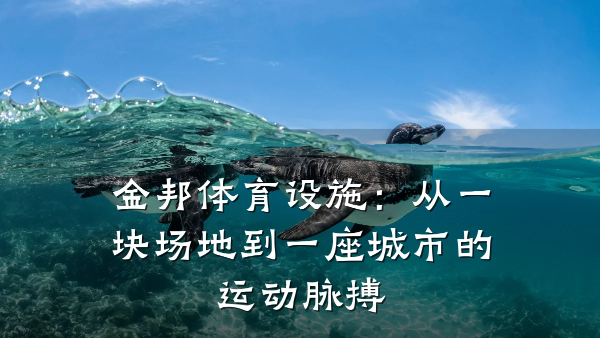 金邦体育设施：从一块场地到一座城市的运动脉搏