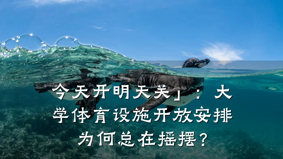 今天开明天关」:大学体育设施开放安排为何总在摇摆?