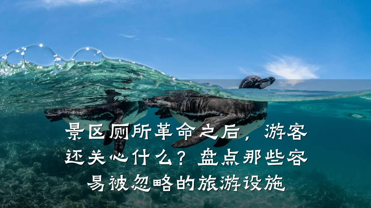 景区厕所革命之后,游客还关心什么?盘点那些容易被忽略的旅游设施