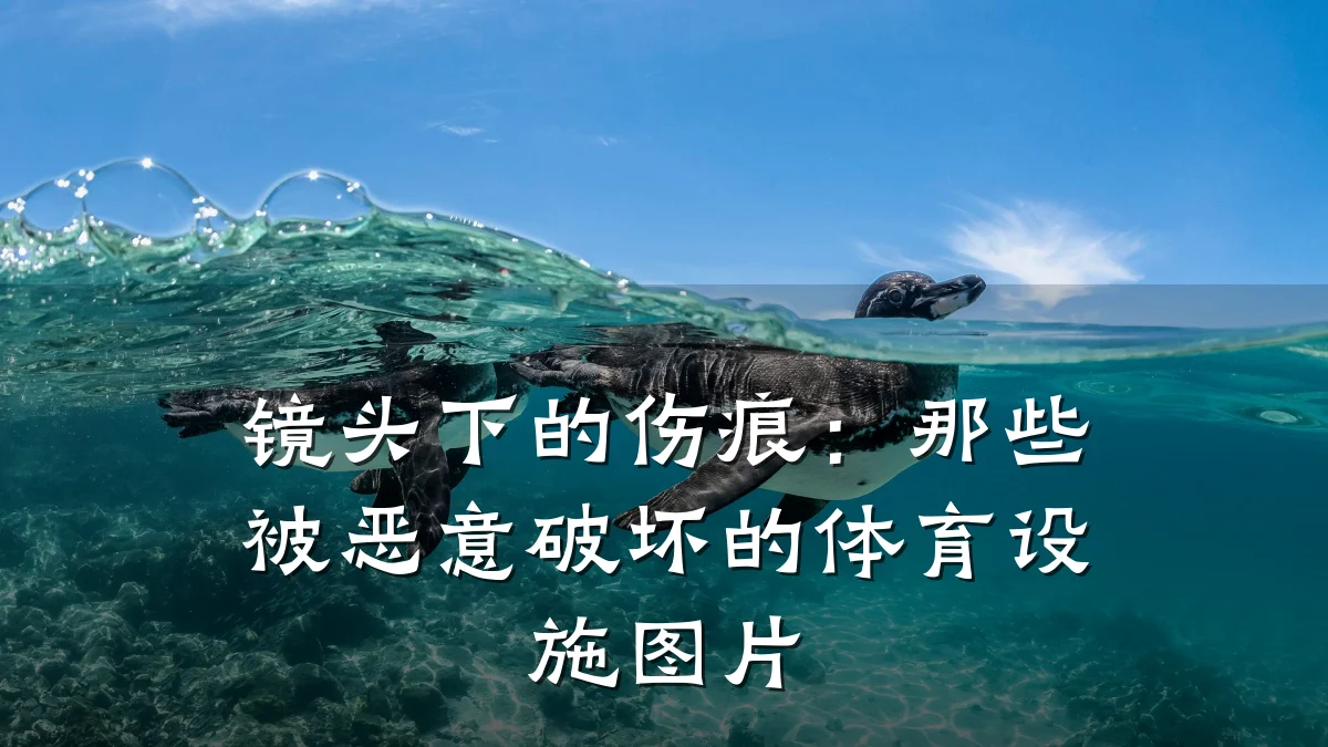 镜头下的伤痕:那些被恶意破坏的体育设施图片