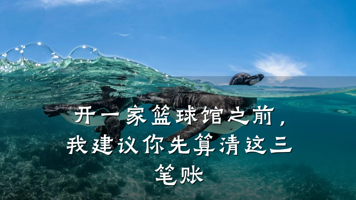 开一家篮球馆之前,我建议你先算清这三笔账