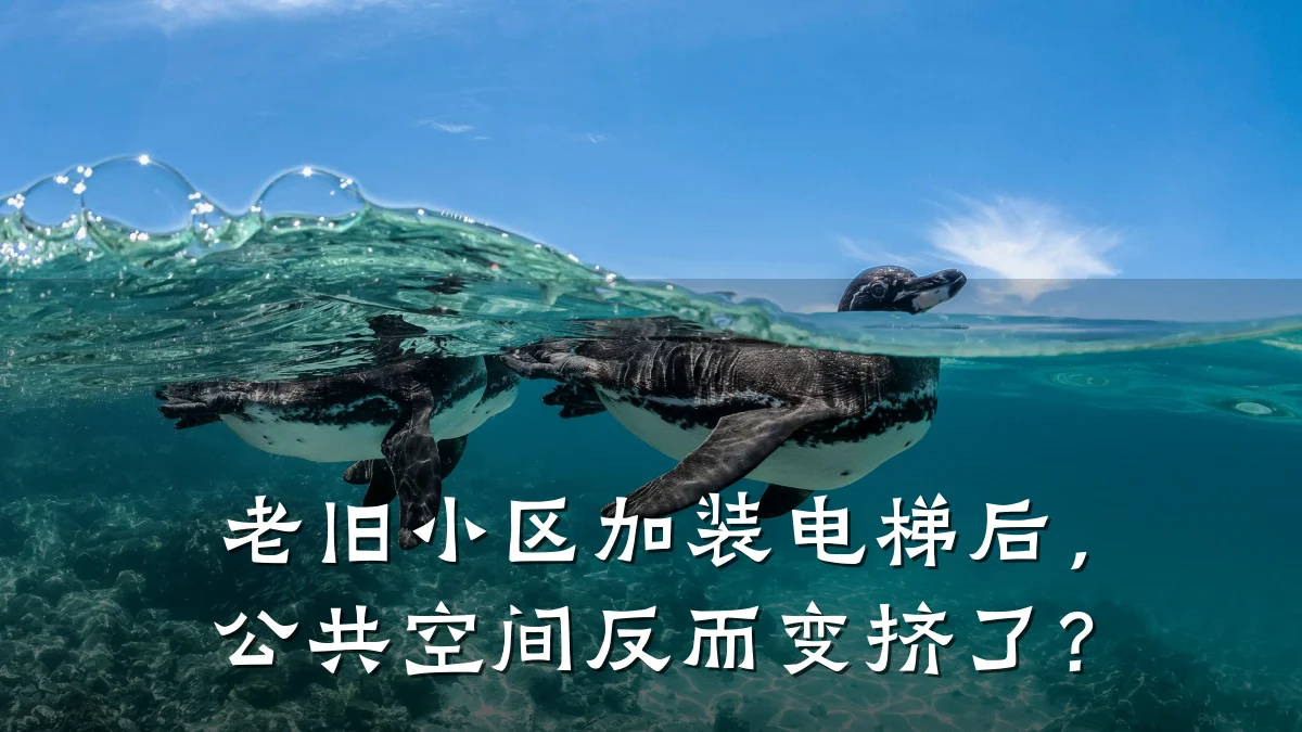 老旧小区加装电梯后,公共空间反而变挤了?