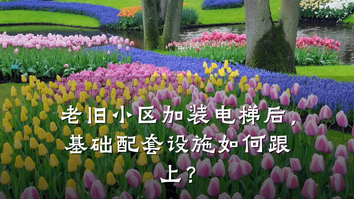 老旧小区加装电梯后,基础配套设施如何跟上?