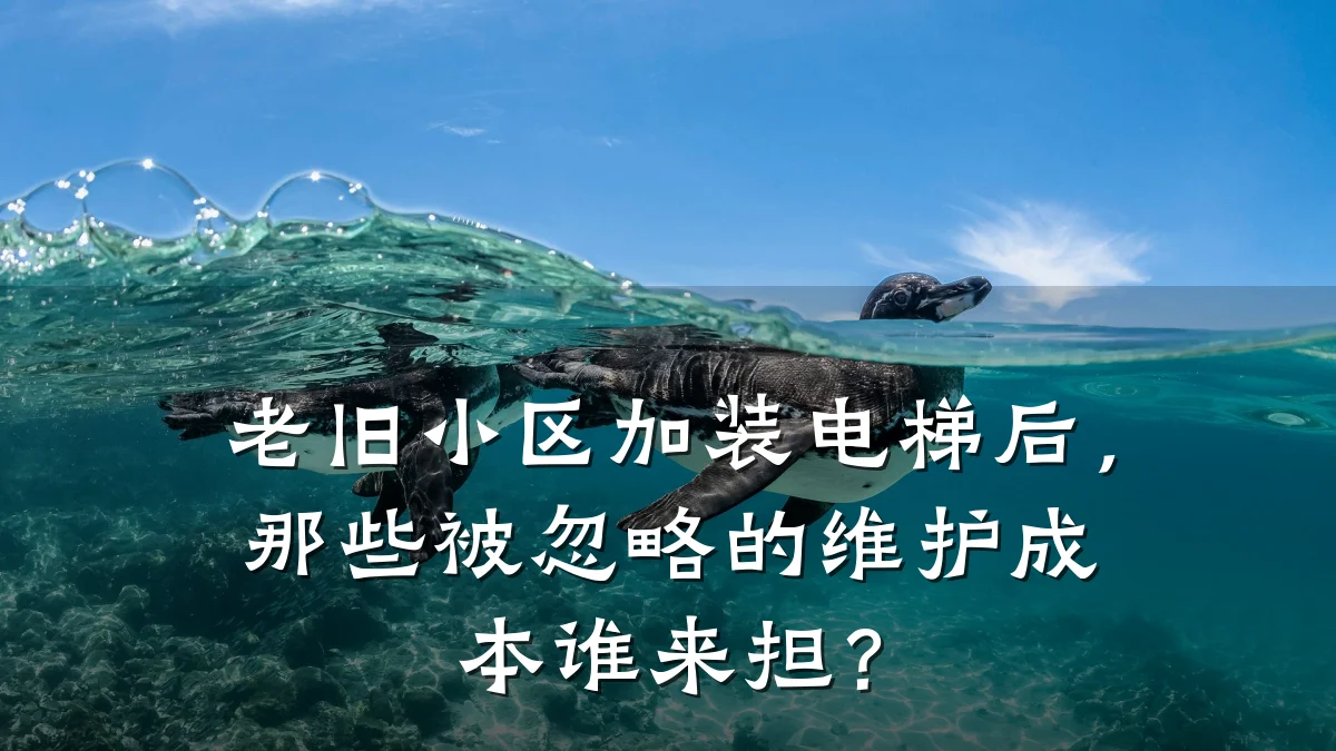 老旧小区加装电梯后,那些被忽略的维护成本谁来担?