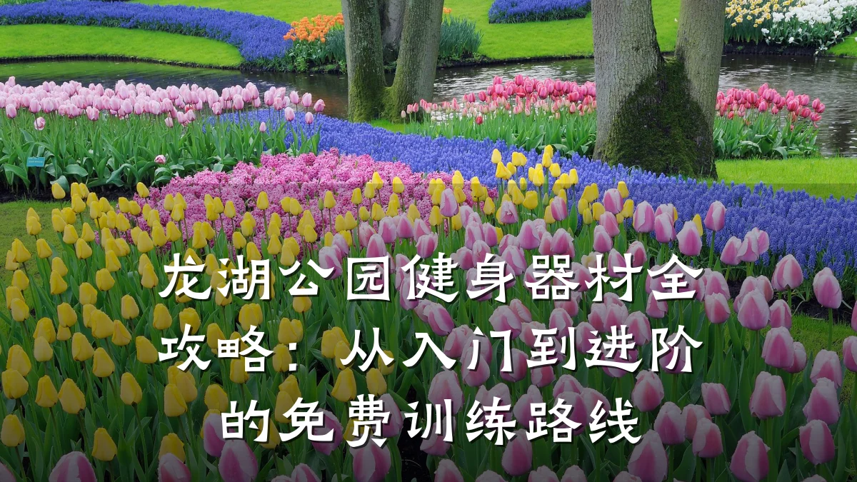 龙湖公园健身器材全攻略:从入门到进阶的免费训练路线