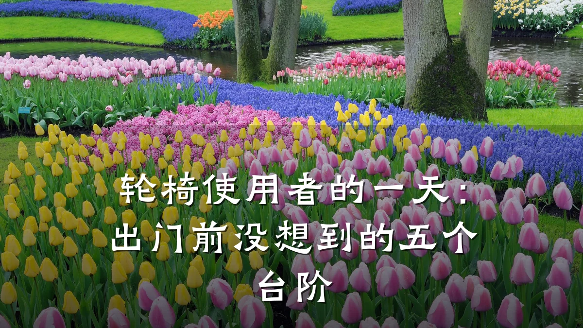 轮椅使用者的一天:出门前没想到的五个台阶