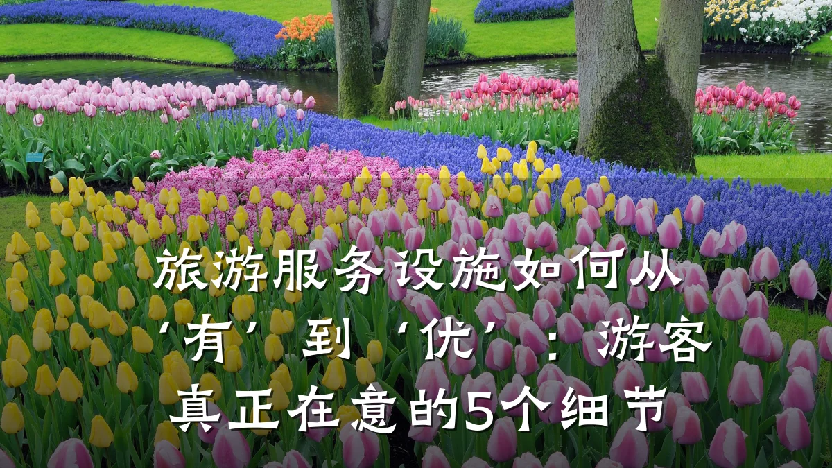 旅游服务设施如何从‘有’到‘优’:游客真正在意的5个细节