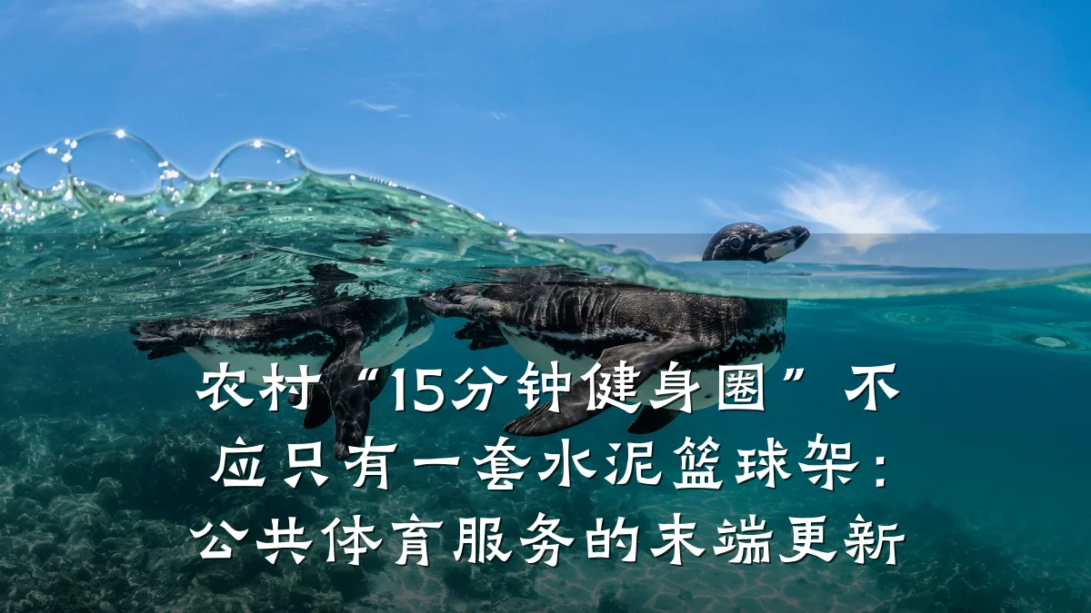 农村“15分钟健身圈”不应只有一套水泥篮球架:公共体育服务的末端更新