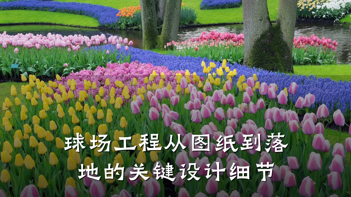 球场工程从图纸到落地的关键设计细节