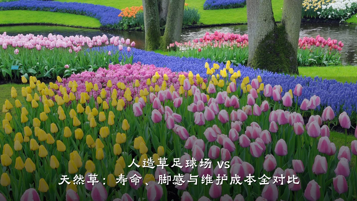 人造草足球场 vs 天然草:寿命、脚感与维护成本全对比
