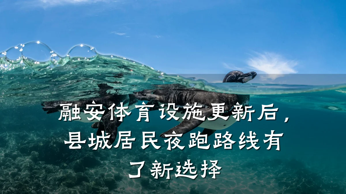 融安体育设施更新后，县城居民夜跑路线有了新选择