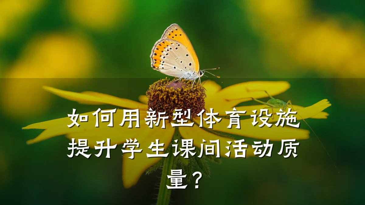 如何用新型体育设施提升学生课间活动质量?