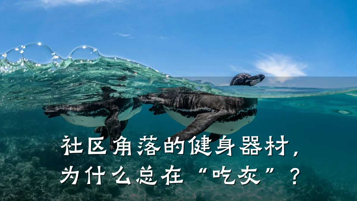 社区角落的健身器材,为什么总在“吃灰”?