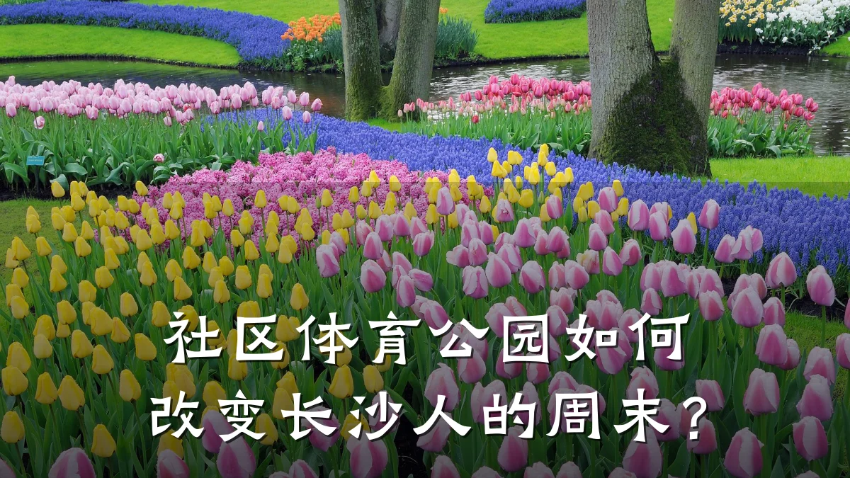 社区体育公园如何改变长沙人的周末?
