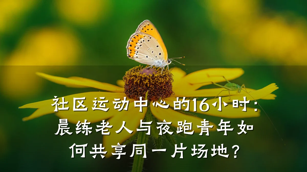 社区运动中心的16小时:晨练老人与夜跑青年如何共享同一片场地?
