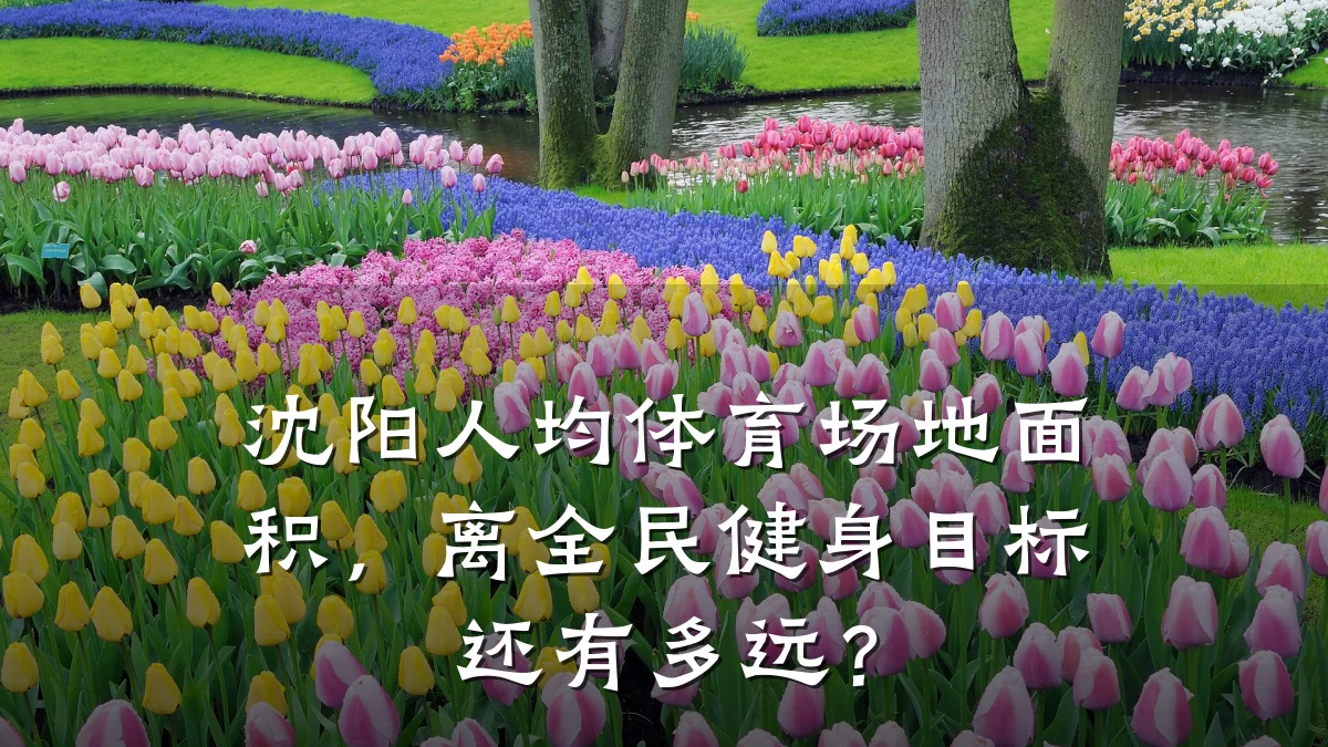沈阳人均体育场地面积，离全民健身目标还有多远？
