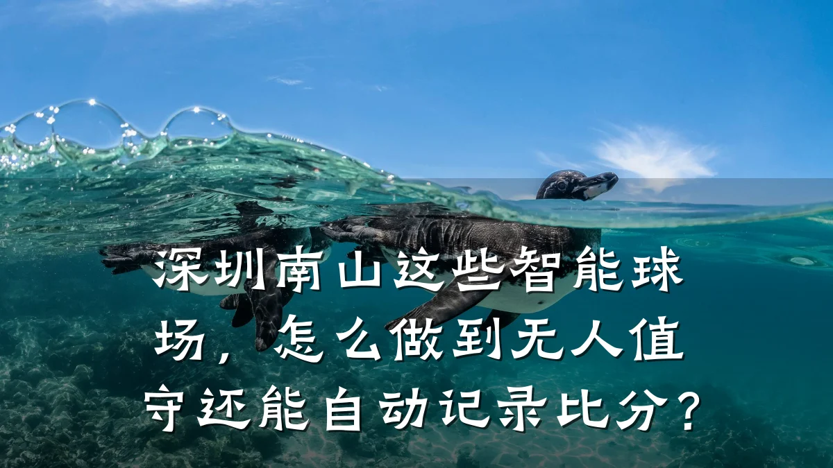 深圳南山这些智能球场,怎么做到无人值守还能自动记录比分?