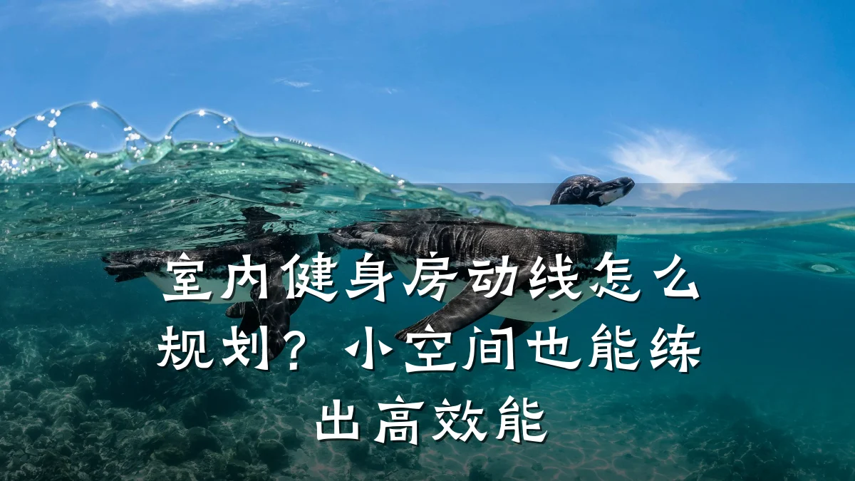 室内健身房动线怎么规划？小空间也能练出高效能