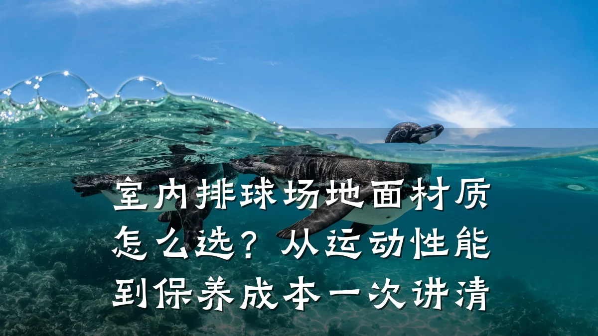 室内排球场地面材质怎么选？从运动性能到保养成本一次讲清