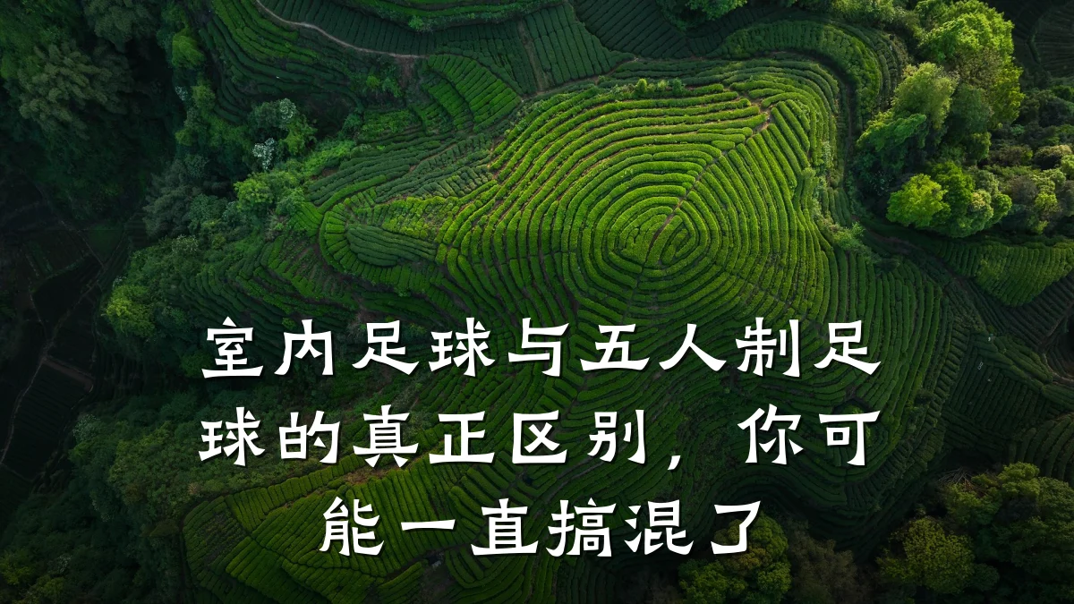 室内足球与五人制足球的真正区别,你可能一直搞混了
