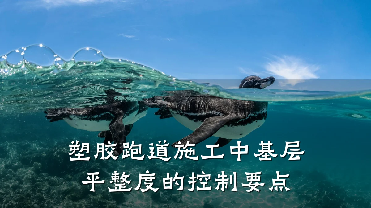 塑胶跑道施工中基层平整度的控制要点