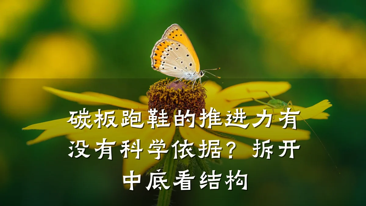 碳板跑鞋的推进力有没有科学依据?拆开中底看结构