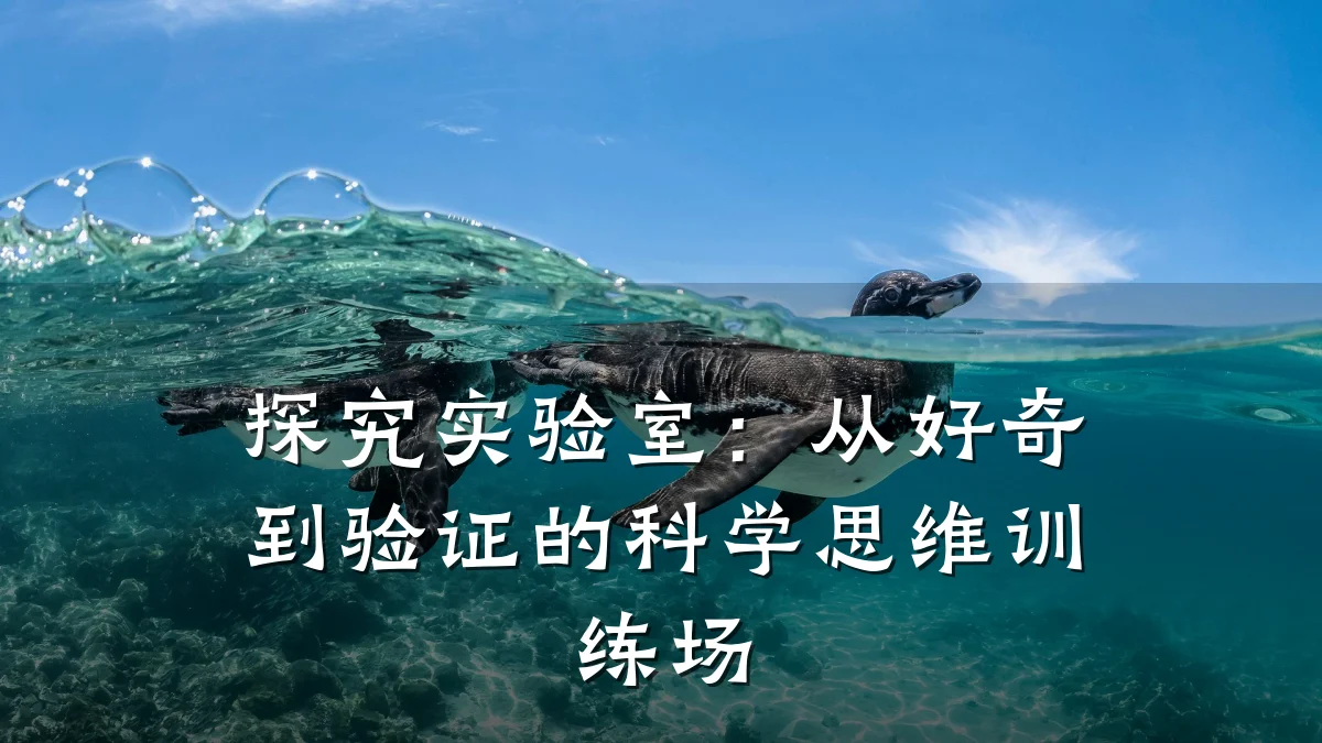 探究实验室:从好奇到验证的科学思维训练场