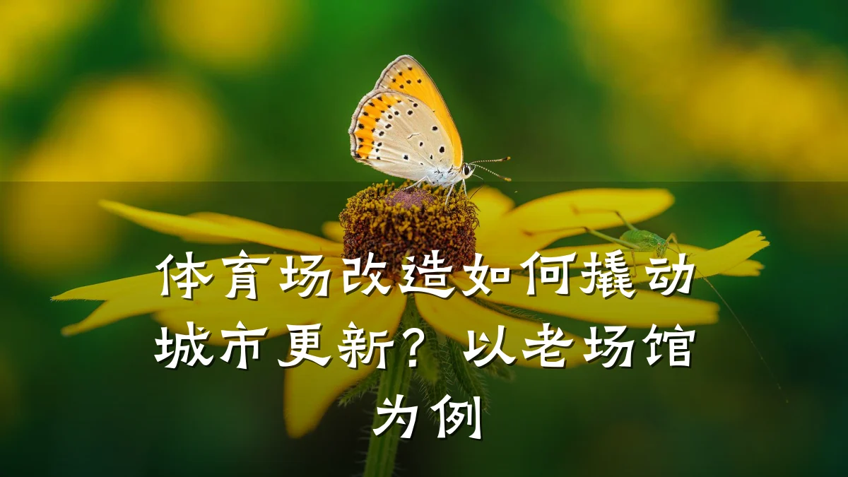体育场改造如何撬动城市更新?以老场馆为例