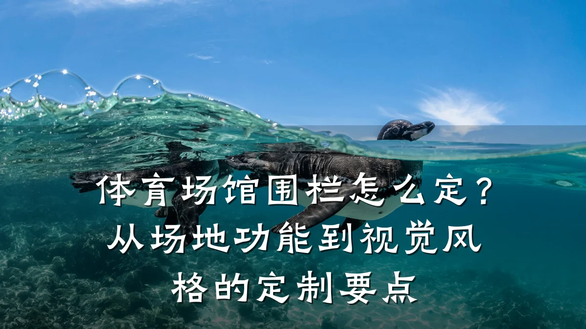 体育场馆围栏怎么定?从场地功能到视觉风格的定制要点