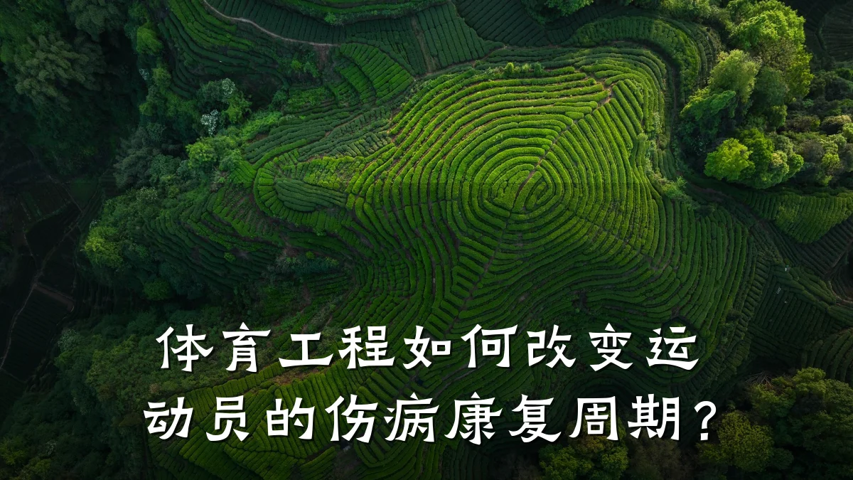 体育工程如何改变运动员的伤病康复周期?