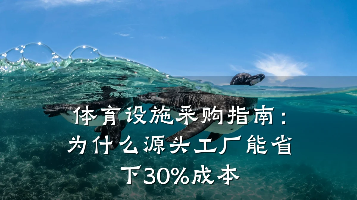 体育设施采购指南:为什么源头工厂能省下30%成本