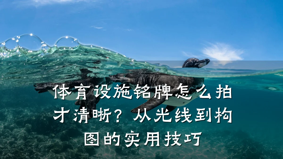体育设施铭牌怎么拍才清晰?从光线到构图的实用技巧
