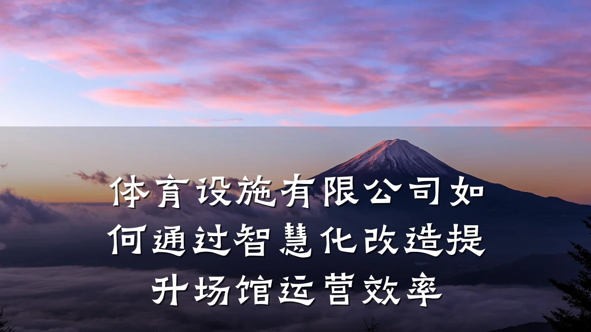 体育设施有限公司如何通过智慧化改造提升场馆运营效率