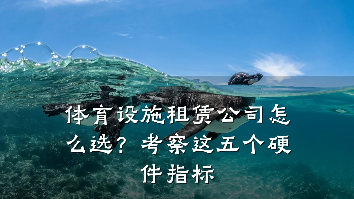 体育设施租赁公司怎么选?考察这五个硬件指标