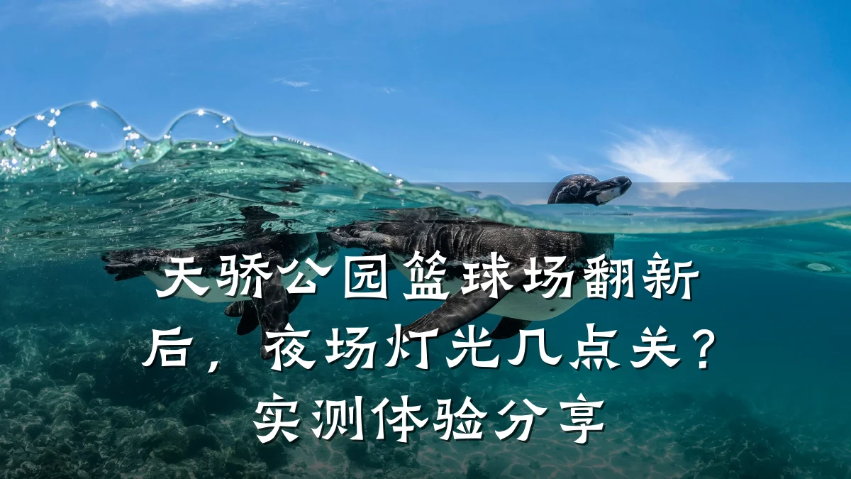 天骄公园篮球场翻新后,夜场灯光几点关?实测体验分享