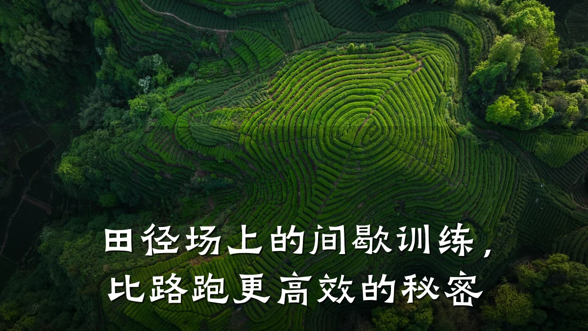 田径场上的间歇训练,比路跑更高效的秘密