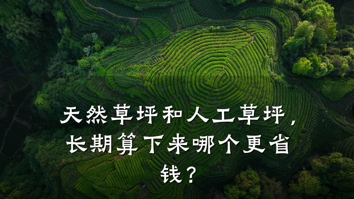 天然草坪和人工草坪,长期算下来哪个更省钱?