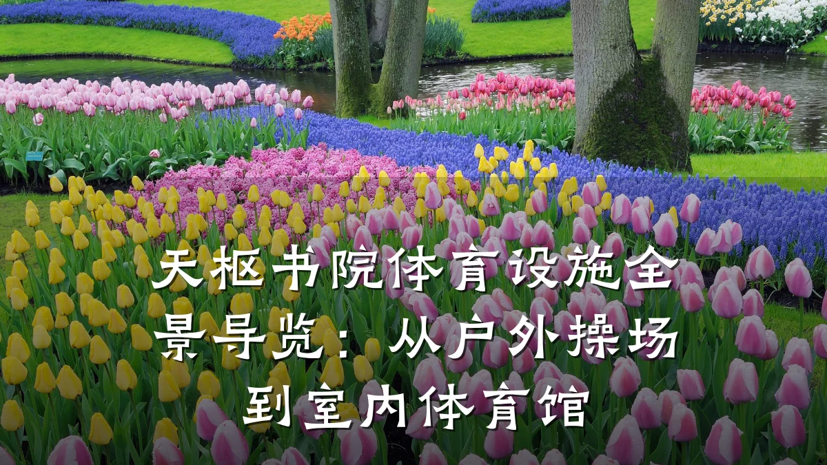 天枢书院体育设施全景导览:从户外操场到室内体育馆