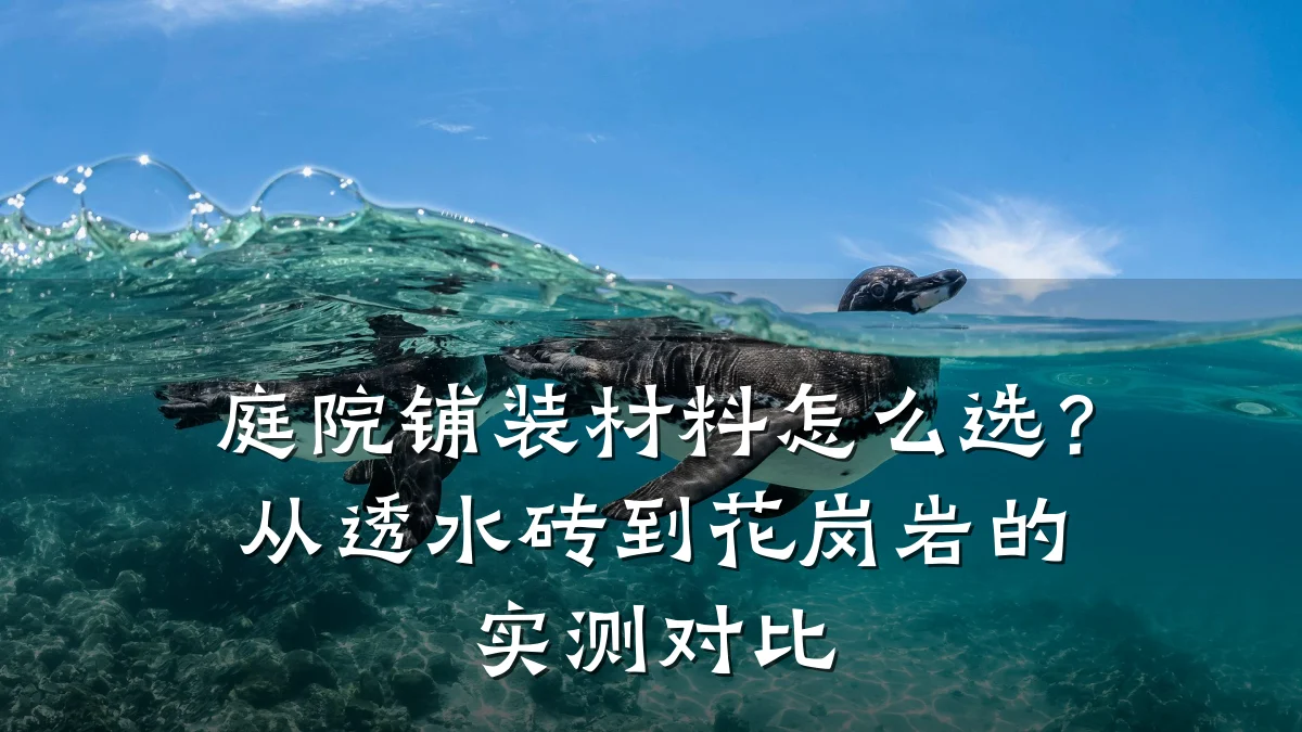 庭院铺装材料怎么选?从透水砖到花岗岩的实测对比