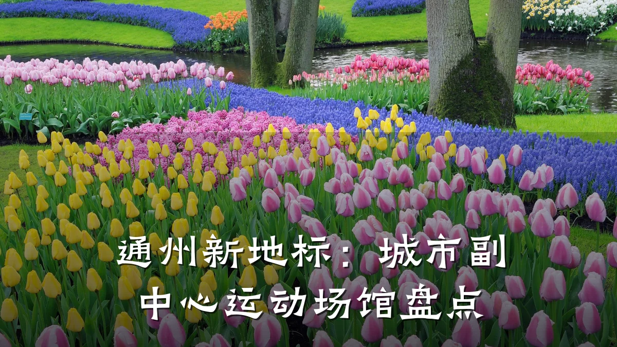 通州新地标：城市副中心运动场馆盘点